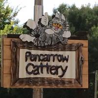 Pencarrow Cattery