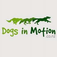 Dogs in Motion