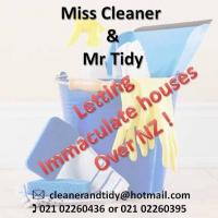 Miss Cleaner & Mr Tidy