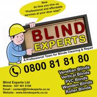 Blind Experts