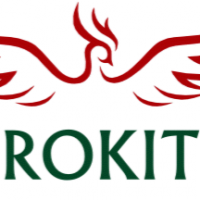 Rokit Construction Ltd