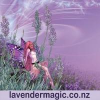 Lavender Magic