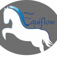 Equiflow - Equine Body Work