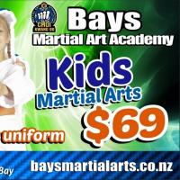 Bays Martial Art Academy