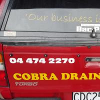 Cobra drain cleaning