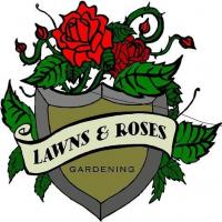 Lawns & Roses
