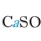 Caso Ltd