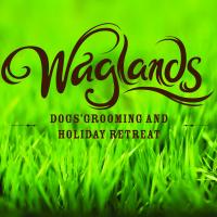 Waglands Dogs' Holiday Retreat