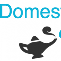Domestic Genies Cleaning Services