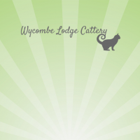 Wycombe Lodge Cattery