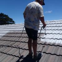 Tony Gugich Pro Roof Renovator