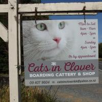 Cats In Clover