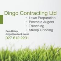 Dingo Contracting