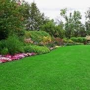 green finger lawn n land creations