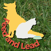 Feed and Lead