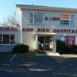 Animal & Bird Hospital