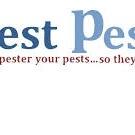 Pest Pesters