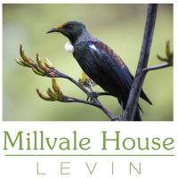 Millvale House Levin