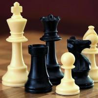 Private Chess, Music and Academic Tutoring