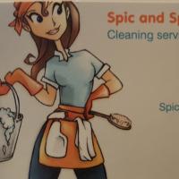 Spic and span cleaning services waikato