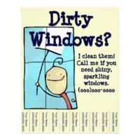 Reddy window cleaners