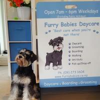 Furry Babies Daycare Ltd