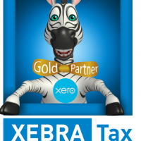 XEBRA Tax Accounting