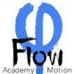 Flow Academy Of Motion