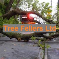 Tree Fellers NZ Ltd