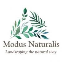 Modus Naturalis