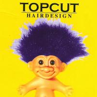 Top Cut Hair Design