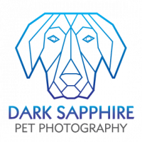 Dark Sapphire Pet Photography