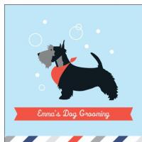 Emma's Dog Grooming