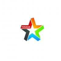 Professionals Methven Real Estate Ltd Ashburton Real Estate Agents