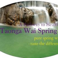 Taonga Wai Spring Water