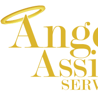 Angel Assist Service Limited