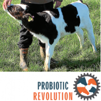 Probiotic Revolution Limited