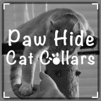 Paw Hide Cat Collars