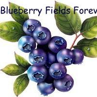Blueberry Fields Forever PYO