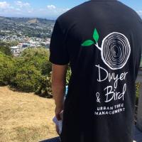 Dwyer&Bird Urban Tree Management Ltd
