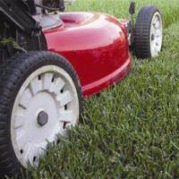 Select Lawnmowing - Whangarei & Bream Bay