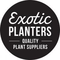 Exotic Planters