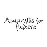 Amaryllis For Flowers