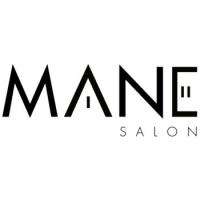 Mane Salon and Academy