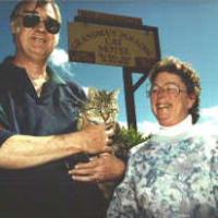 Grandma's Paradise Cat Motel