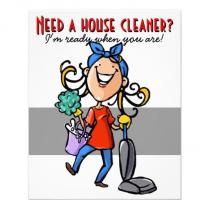 Elite Cleaning Services NZ Ltd