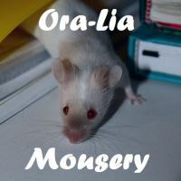 Ora-Lia Mousery