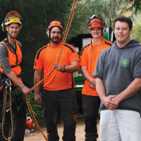 Tree Magic Arborists Limited