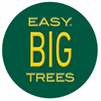 Easy Big Trees
