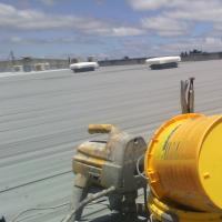 Roof & Commercial Painter